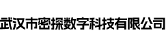 武汉市密探数字科技有限公司